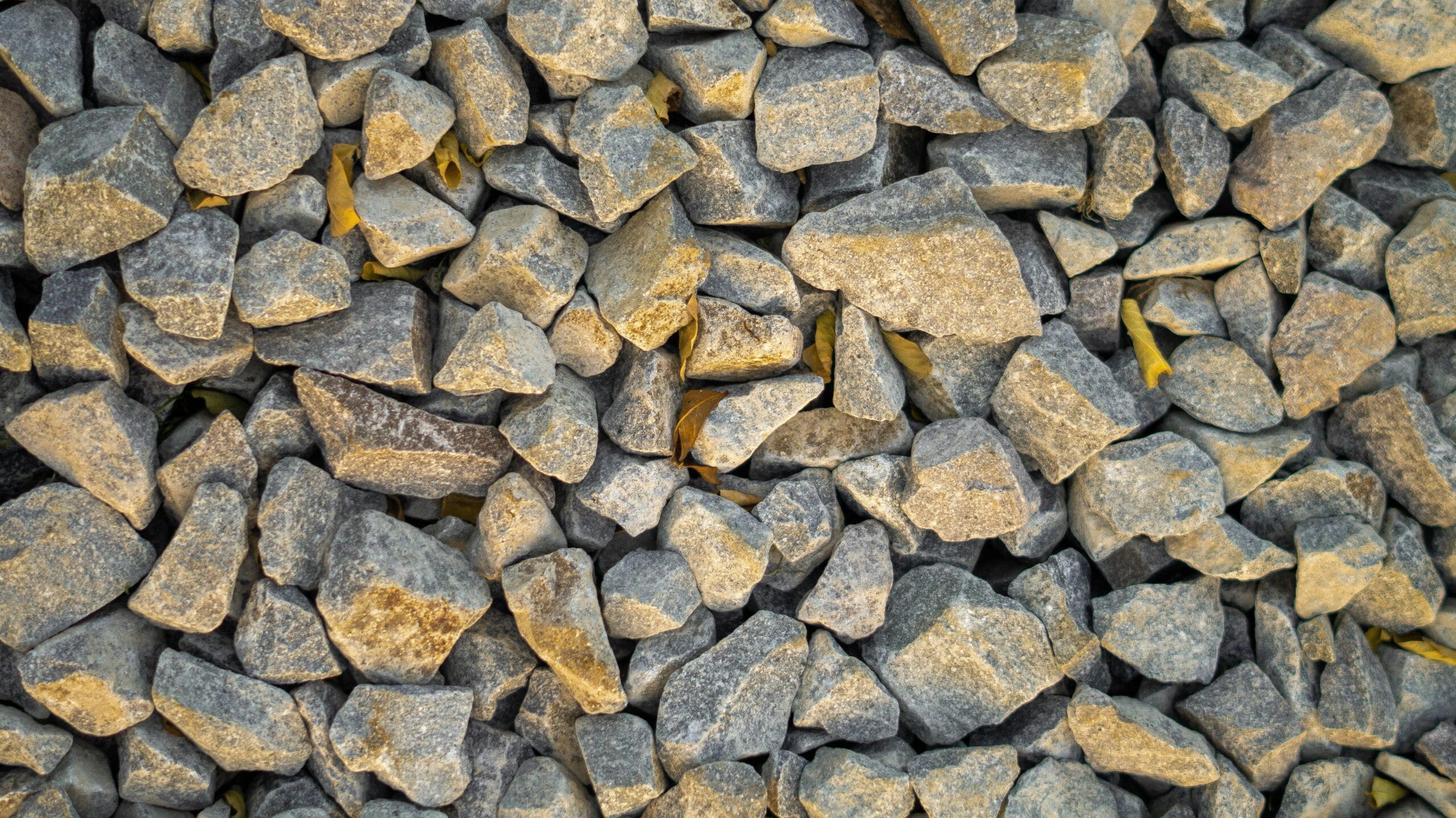 David stroia rmlDVKB3XZs unsplash